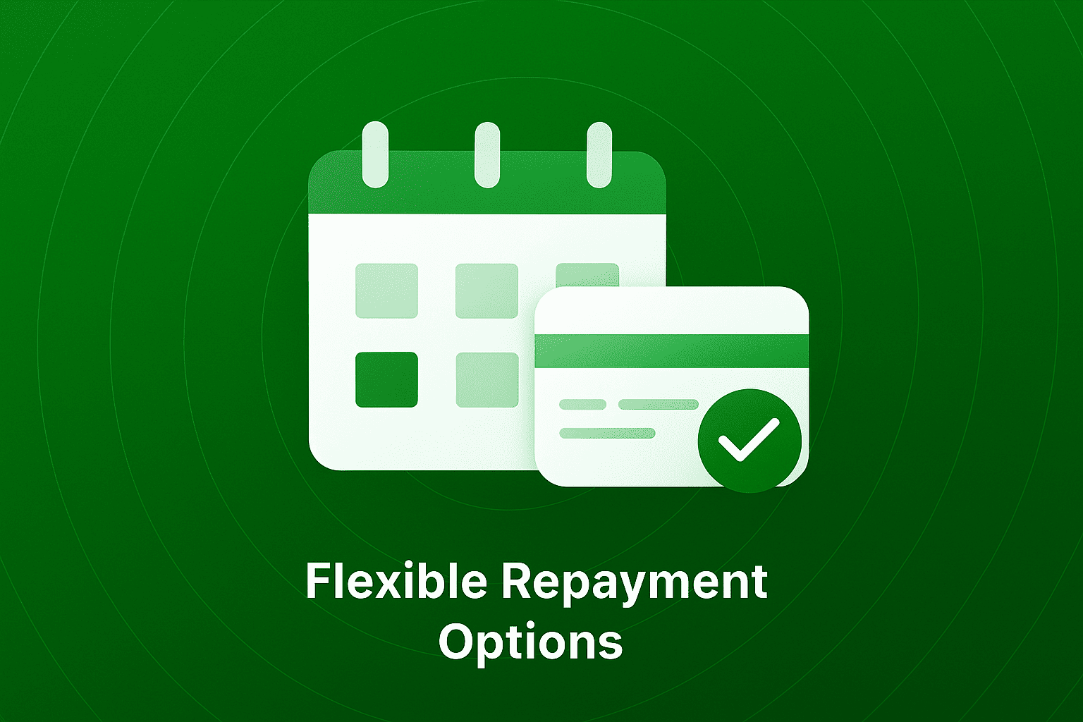Flexible Repayment Options